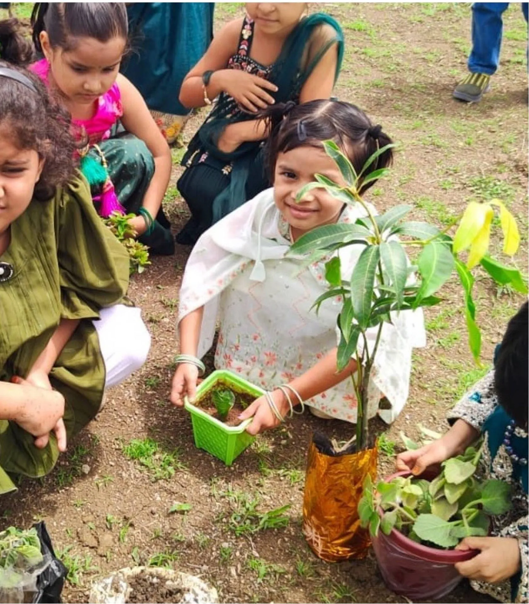 Children planting saplings in the school garden